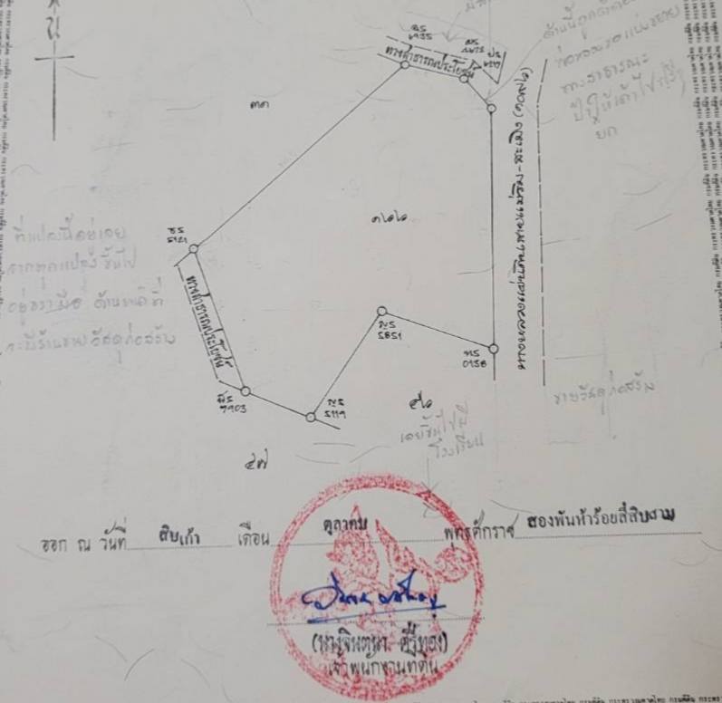 ให้เช่า ที่ดินเปล่า แม่ริม โป่งแยง แอ่งดอย วิวธรรมชาติ เงียบสงบ